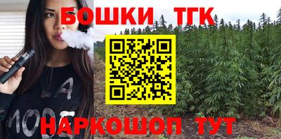 герыч Новодвинск