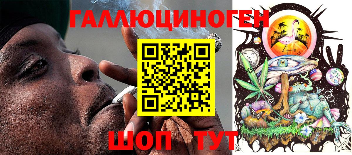 Галлюциногенные грибы Psilocybine cubensis Ростов Великий