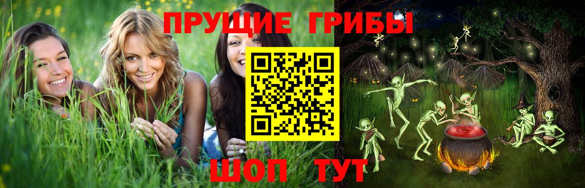 Лсд 25 Ростов Великий